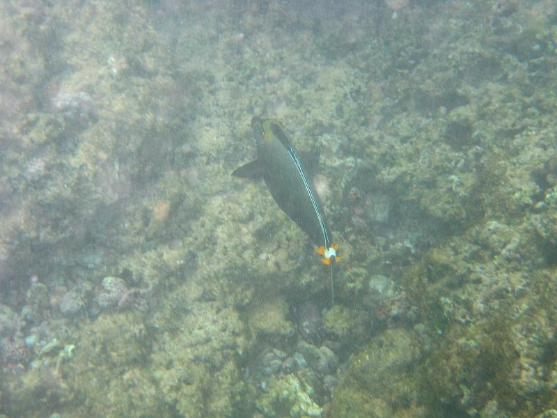 Picture 044